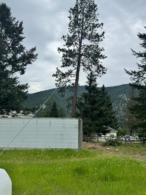 Hazard tree removal