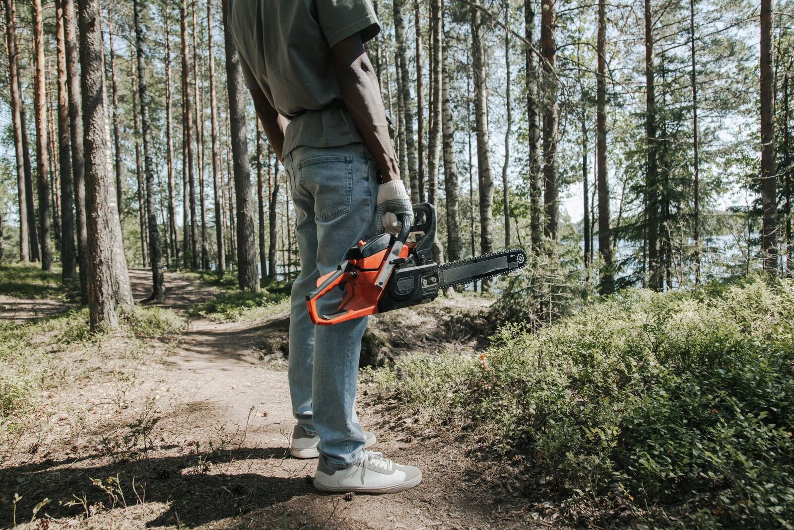 Wildfire Mitigation by Apex Site Services in Southwest Montana